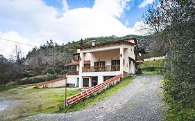 Michel Studios